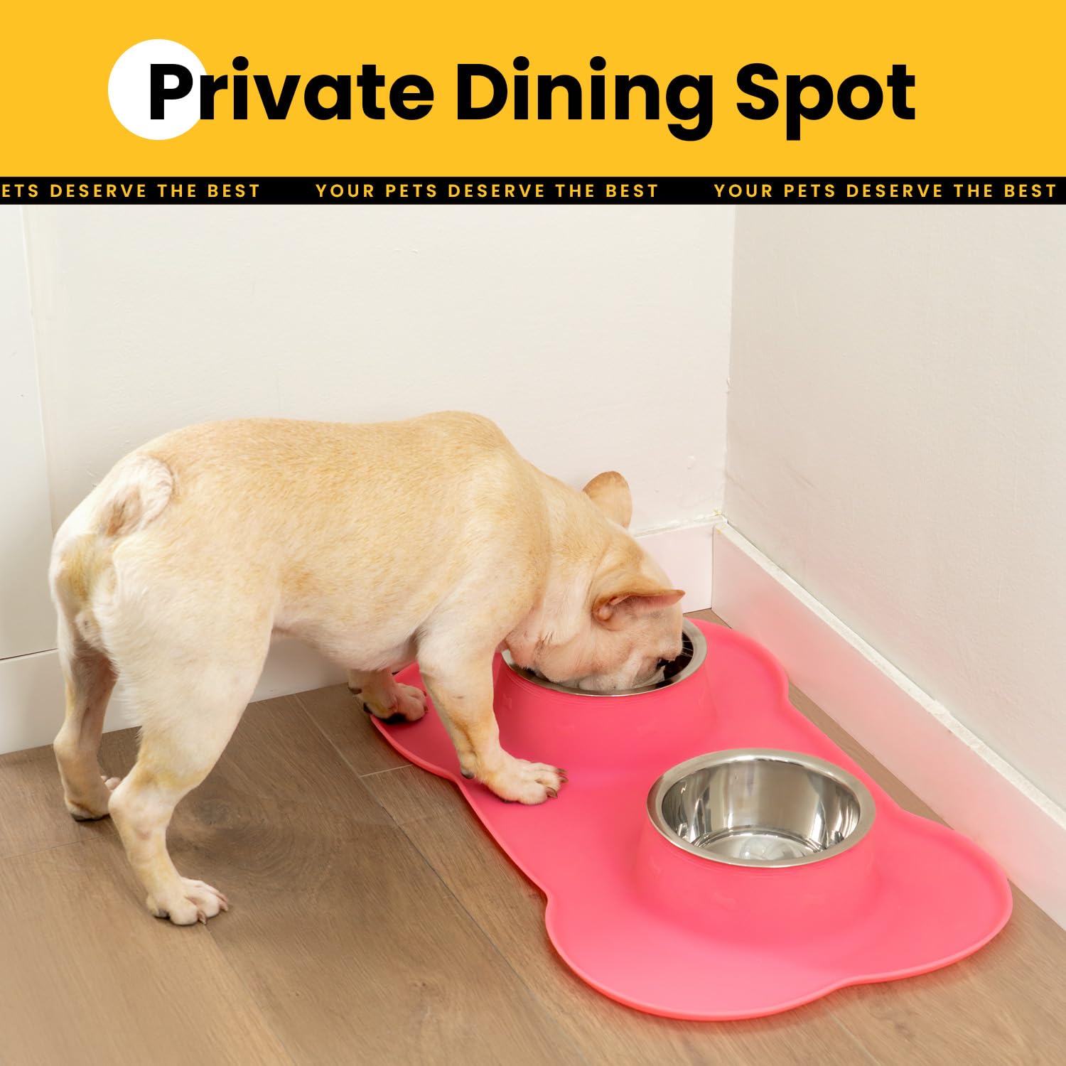Stainless Steel Dog Bowls with Silicone Feeding Mat