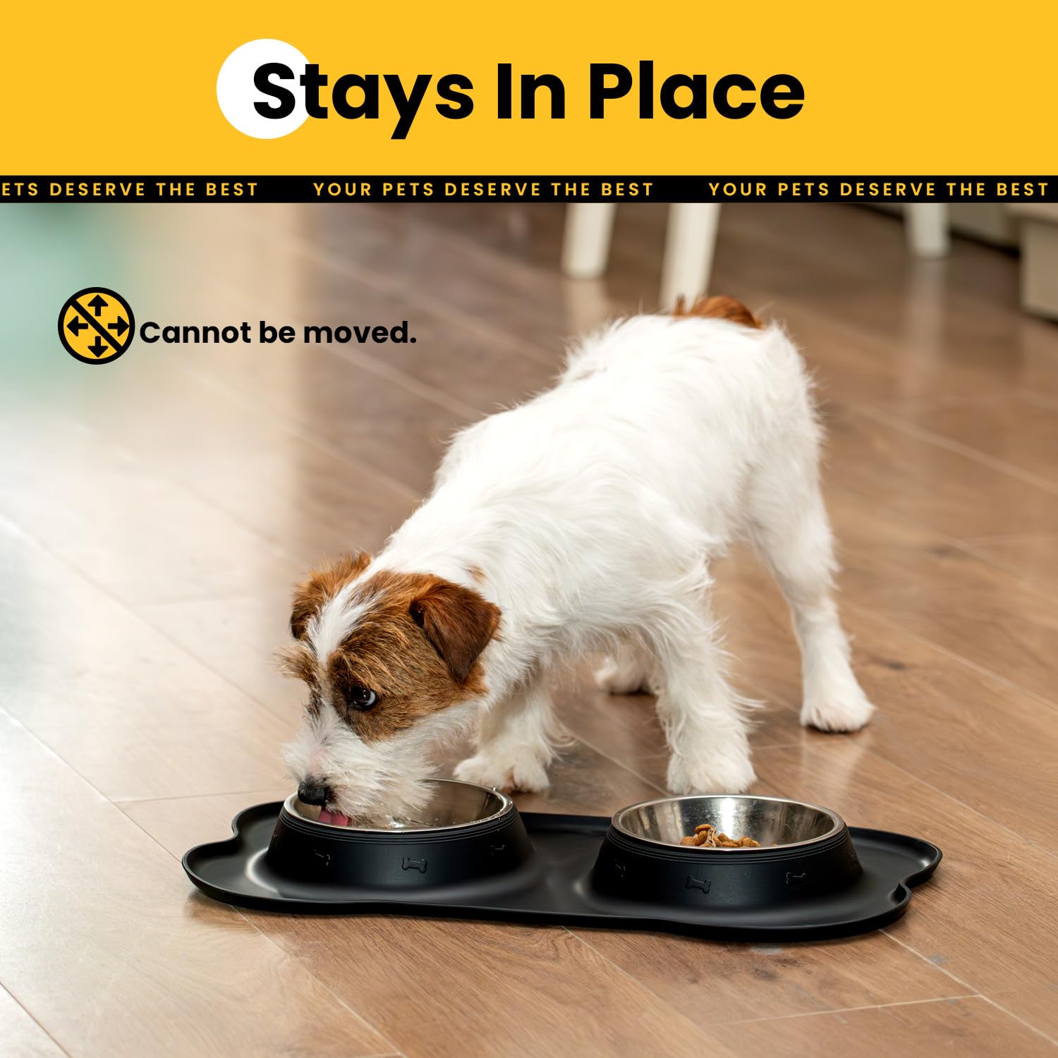 Stainless Steel Dog Bowls with Silicone Feeding Mat