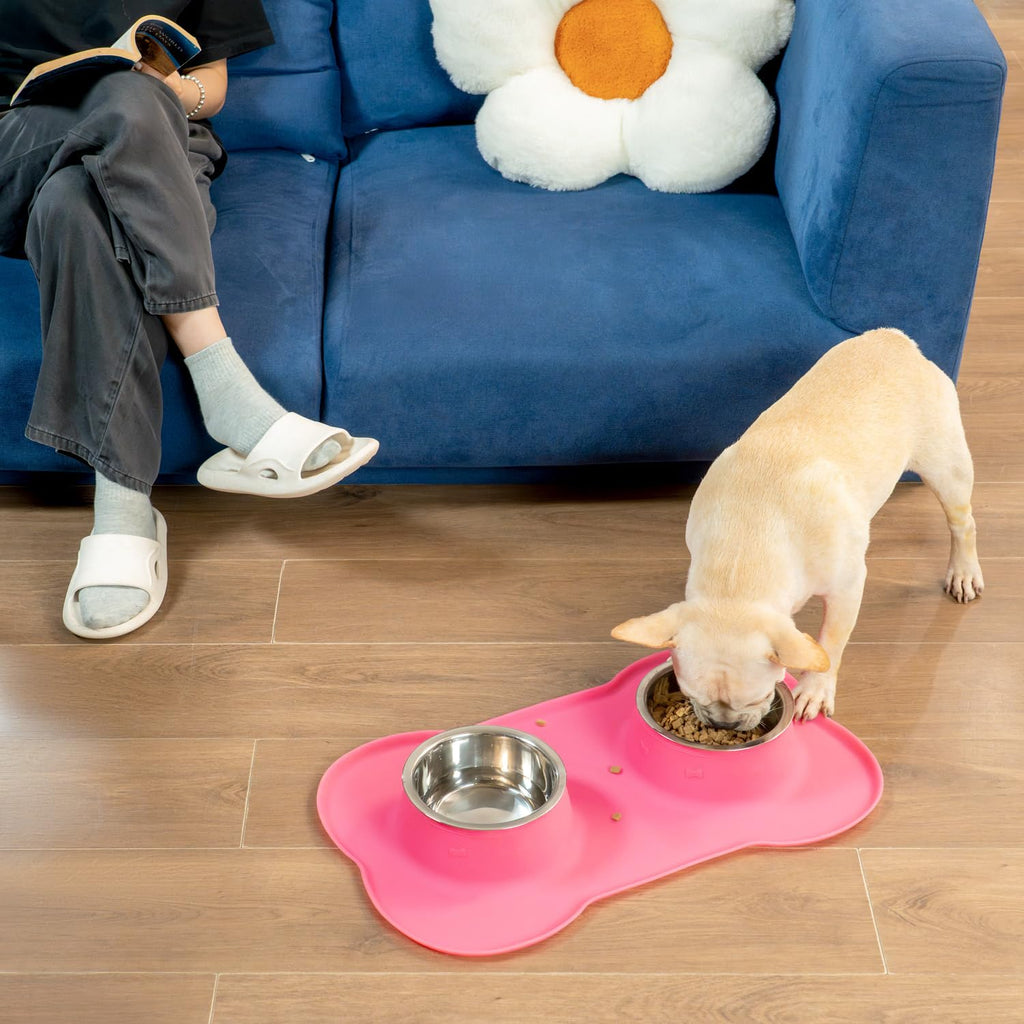 Stainless Steel Dog Bowls with Silicone Feeding Mat