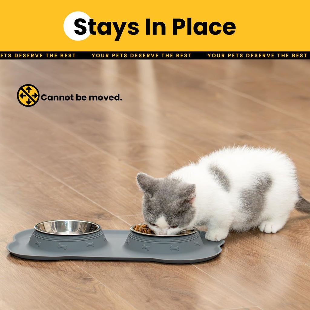 Stainless Steel Dog Bowls with Silicone Feeding Mat