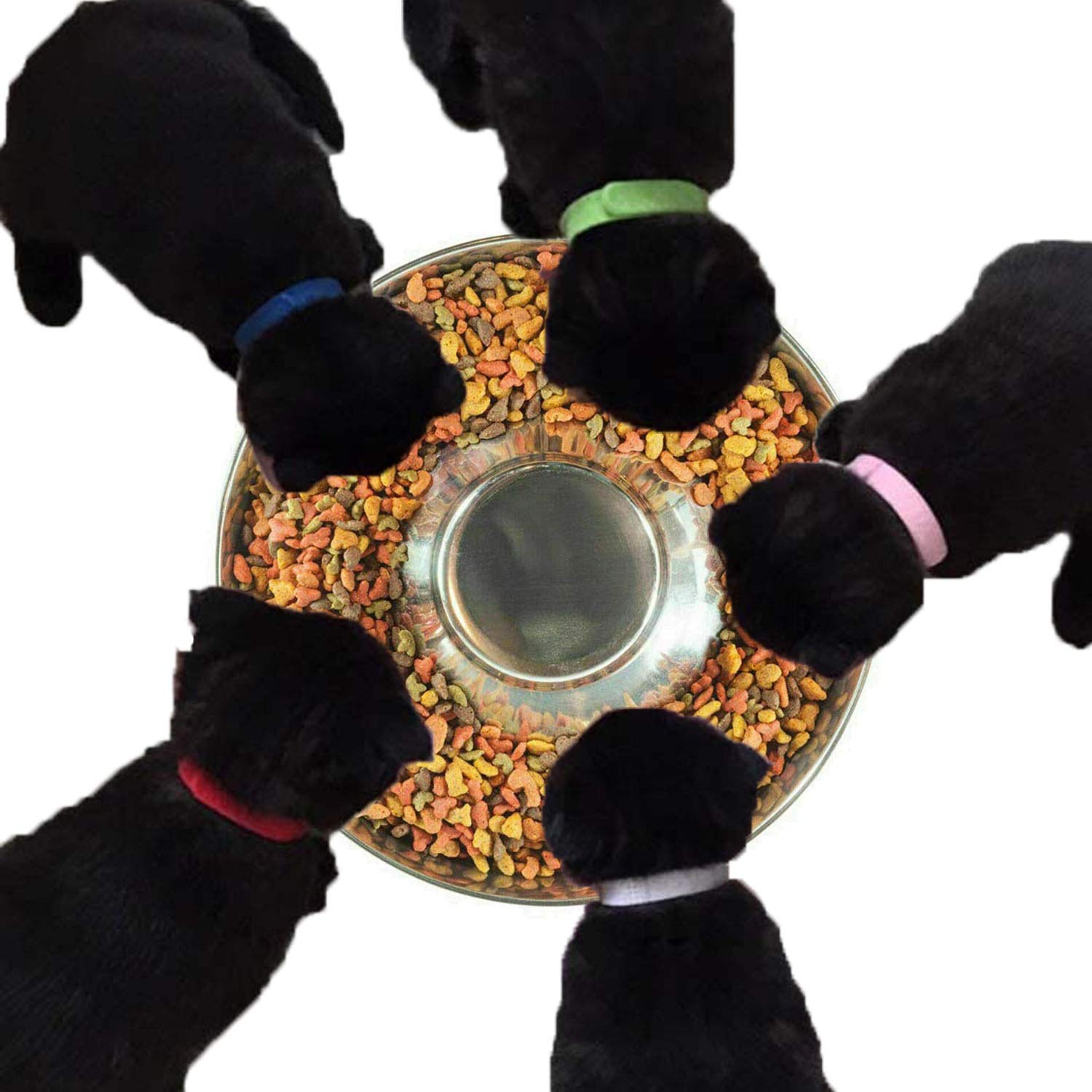 Stainless Steel Puppy Weaning Bowls