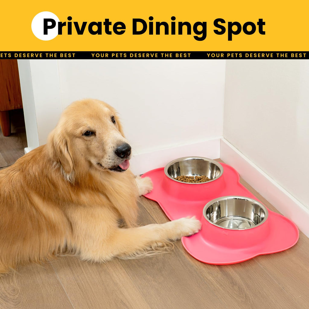 Stainless Steel Dog Bowls with Silicone Feeding Mat