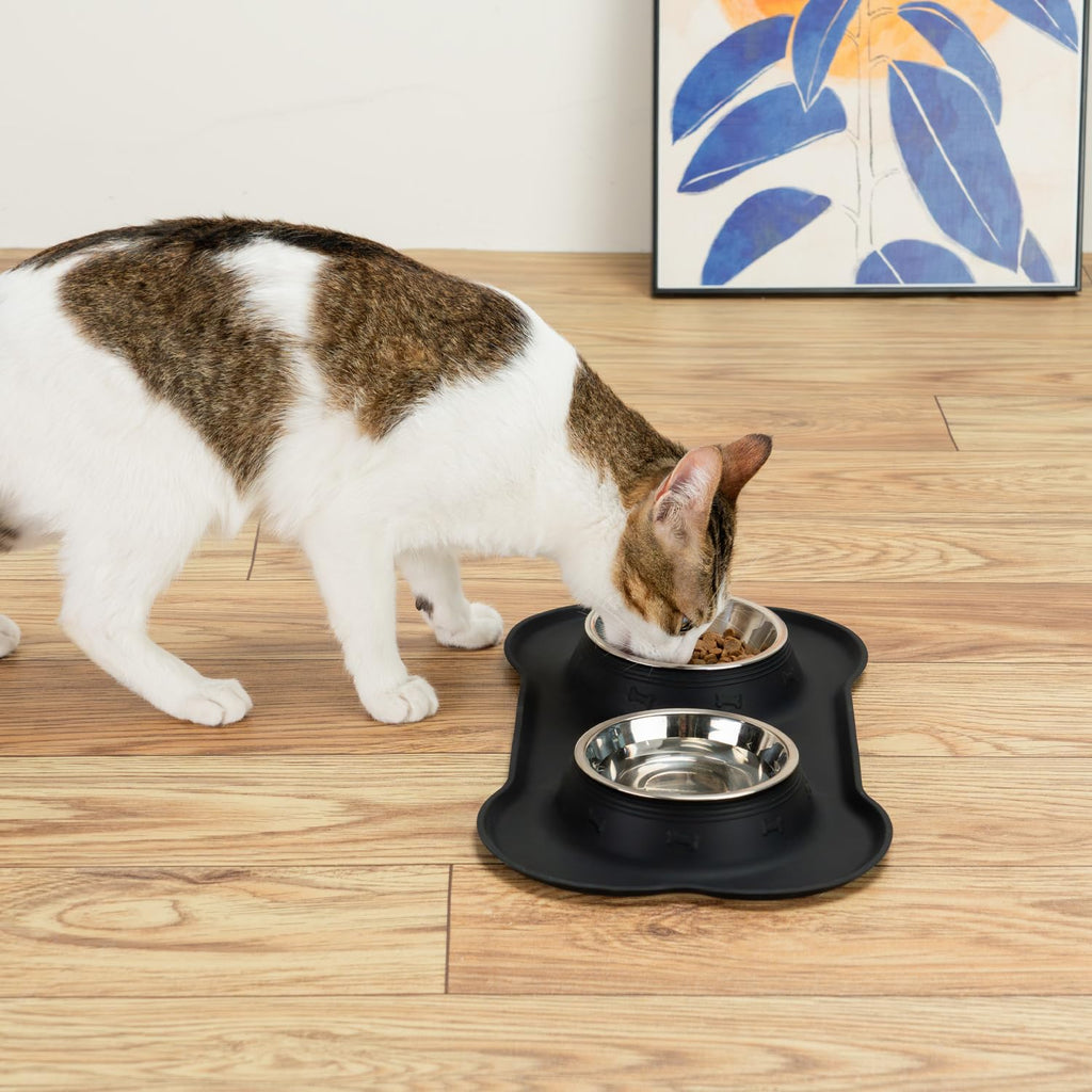 Stainless Steel Dog Bowls with Silicone Feeding Mat