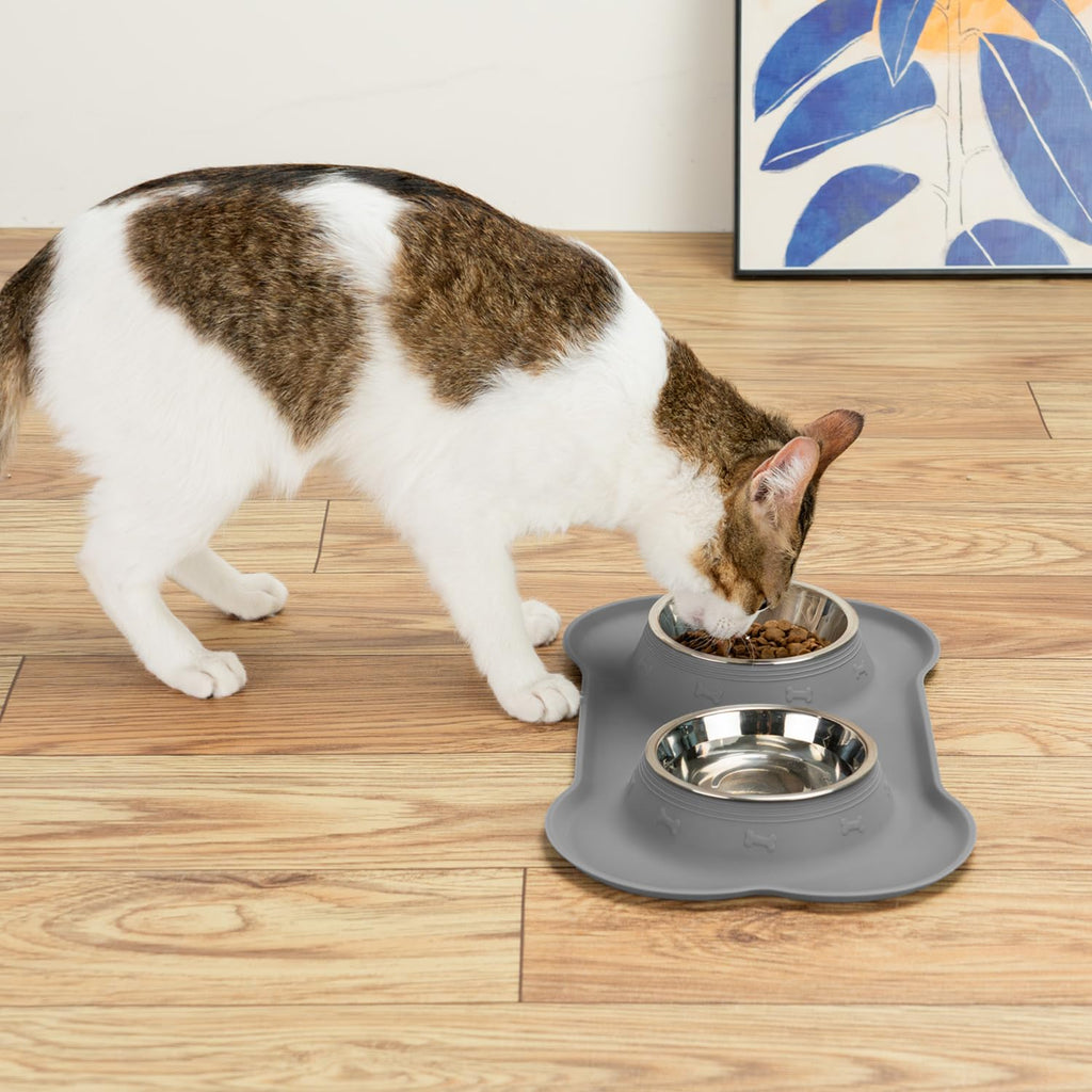 Stainless Steel Dog Bowls with Silicone Feeding Mat