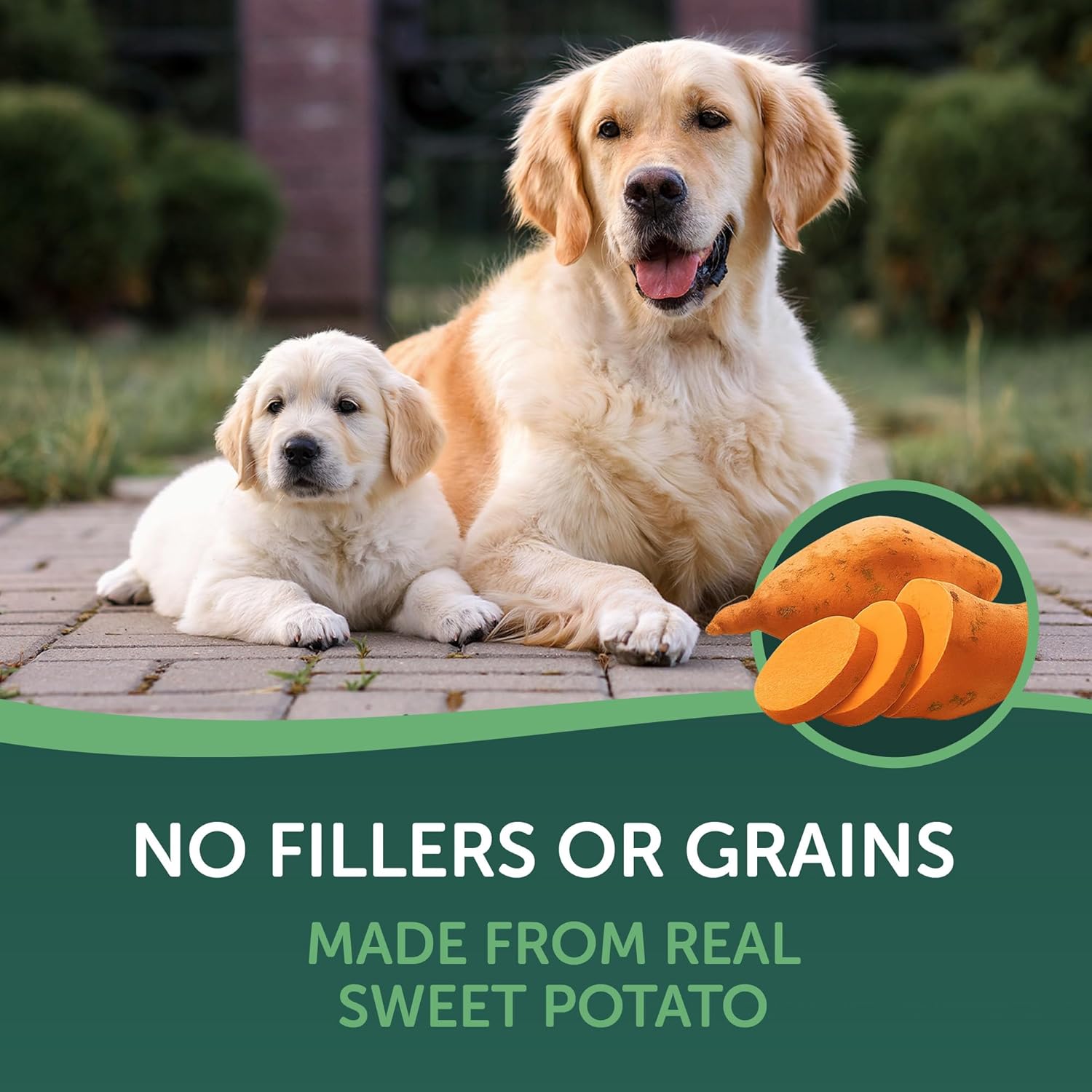 Real Dried Sweet Potato Slices