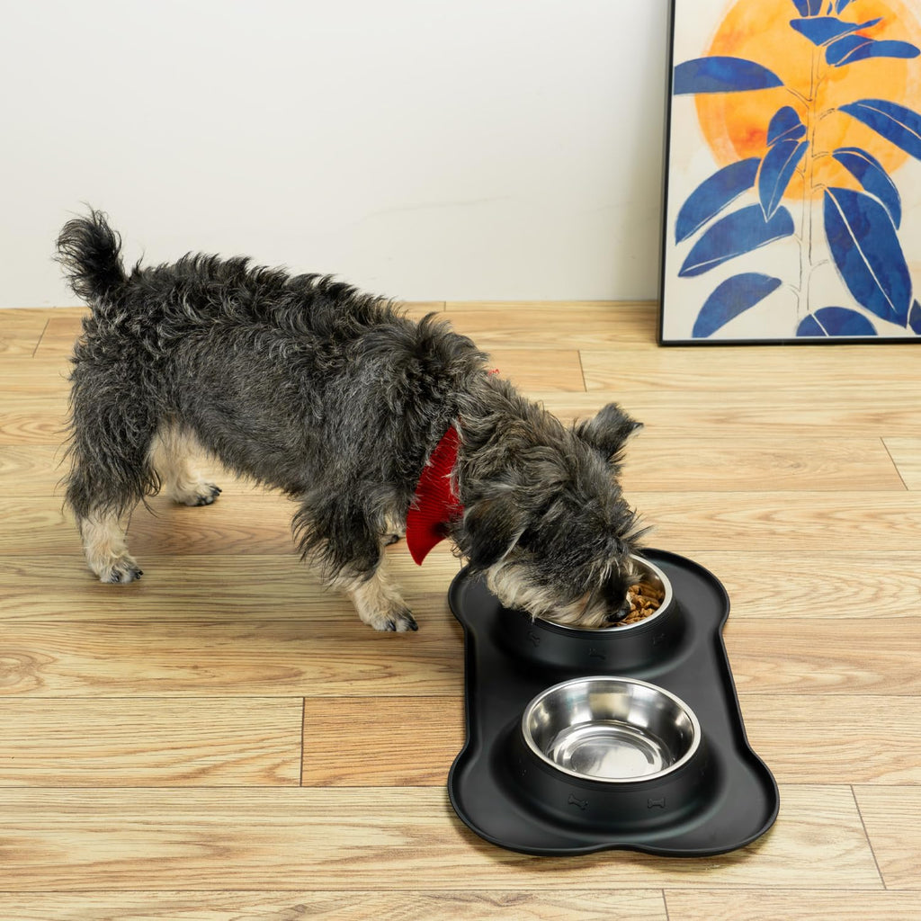 Stainless Steel Dog Bowls with Silicone Feeding Mat