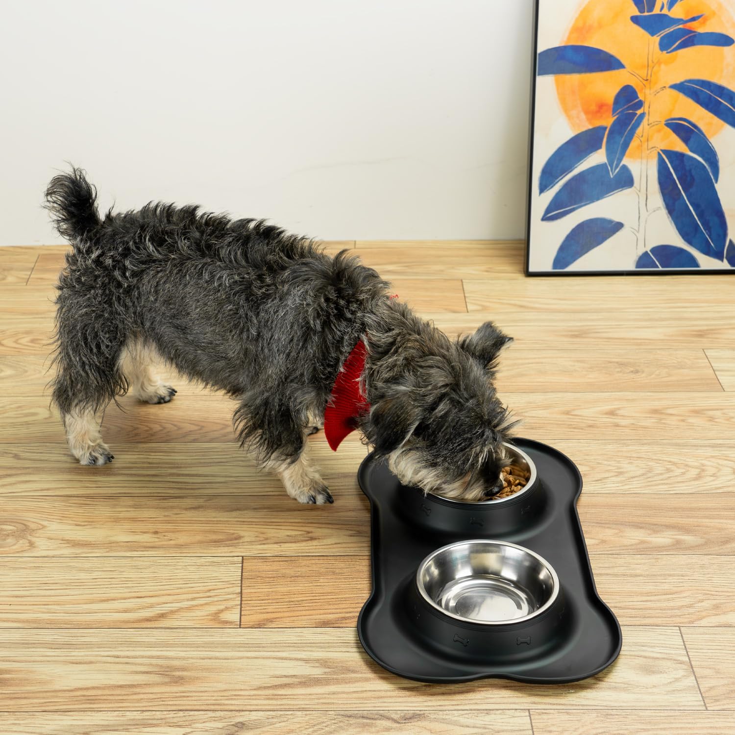 Stainless Steel Dog Bowls with Silicone Feeding Mat