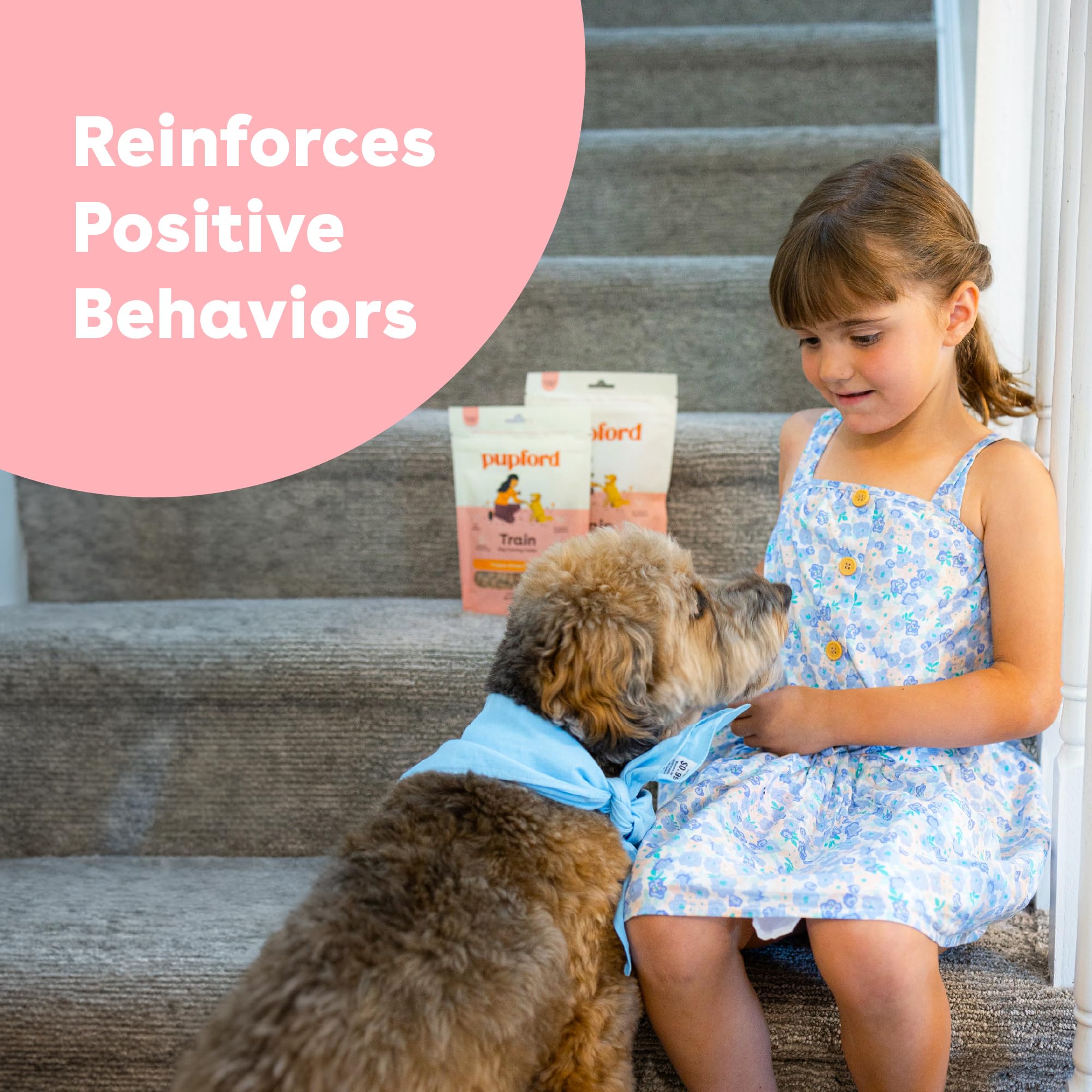 Freeze Dried Training Treats