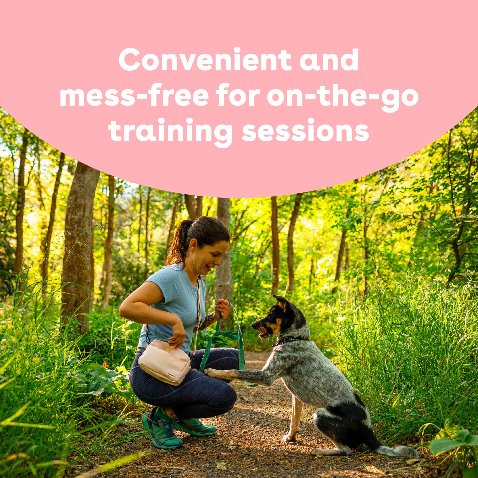 Freeze Dried Training Treats