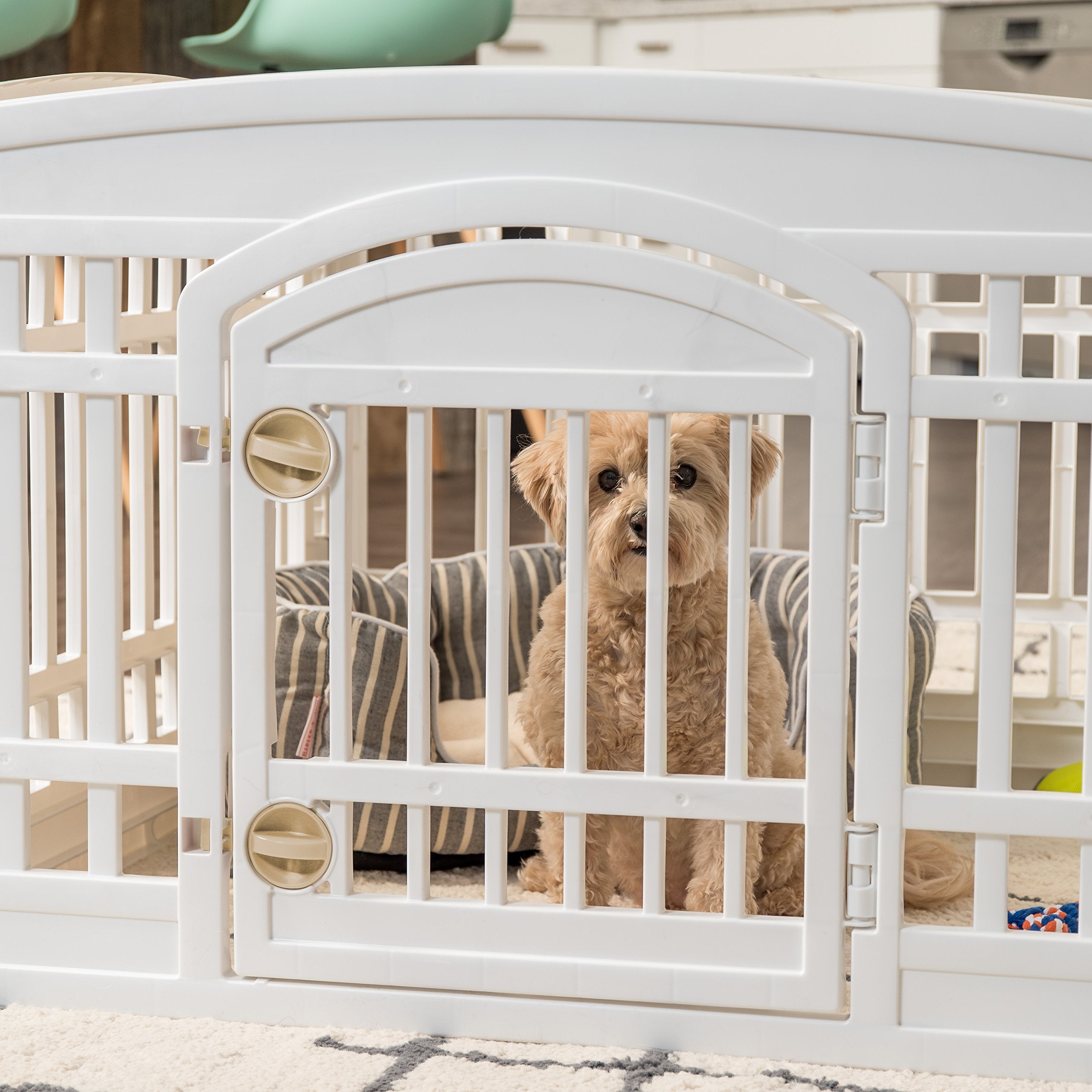 Dog Playpen with Door